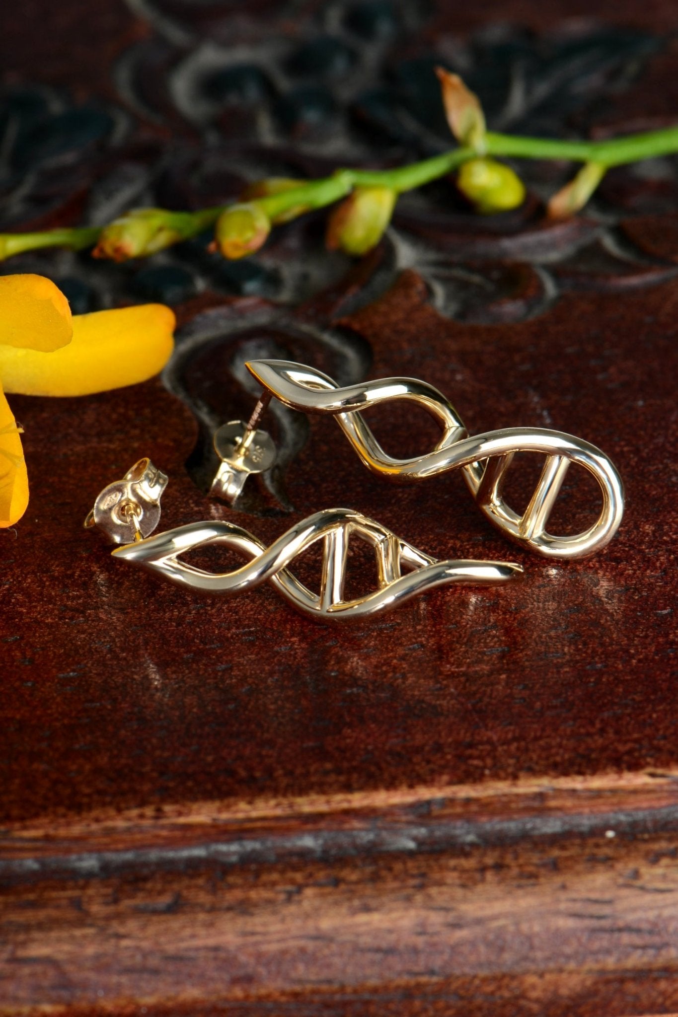 9ct yellow gold DNA earrings from the Life collection — symbolic jewellery inspired by shared bonds shown on wooden jewellery box