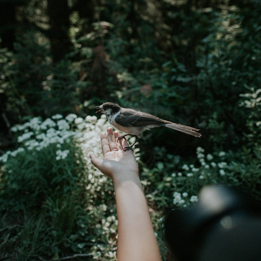 Nature creates, man designs. - Christine Sadler Unforgettable Jewellery