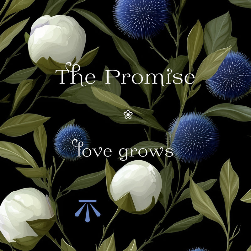 Branded collection card for the Promise jewellery collection - Christine Sadler