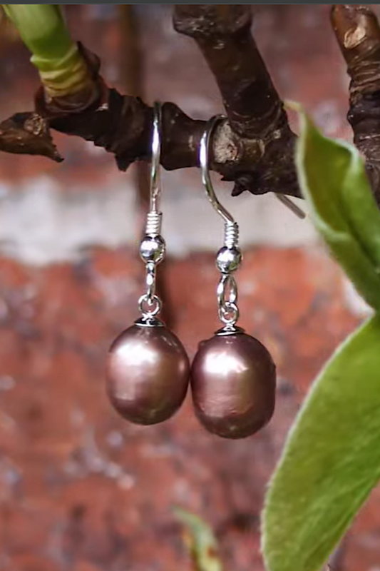 real cultured pearl drop earrings with silver hooks in chocolate colour