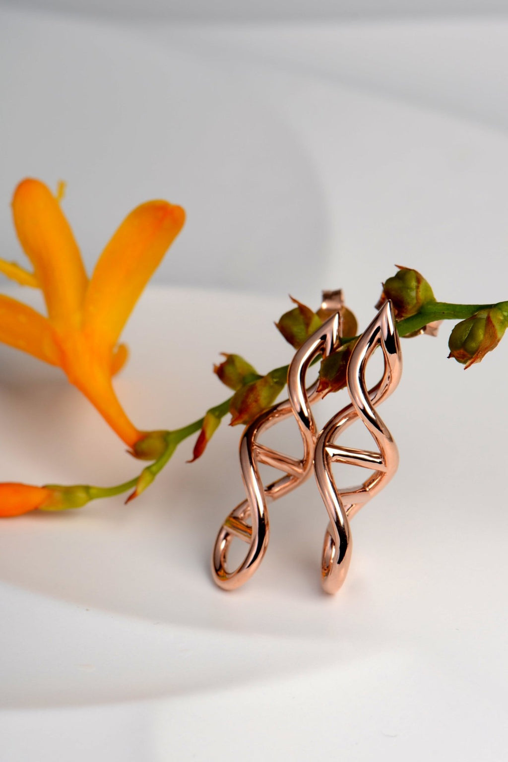 Pair of 9ct rose gold drop earrings in DNA helix design from the Designer Genes collection by Christine Sadler. White background with orange crocosmia flower