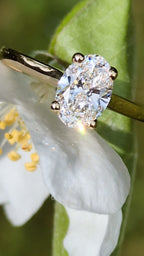 Oval Cut Diamond Engagement Ring Yellow Gold Band