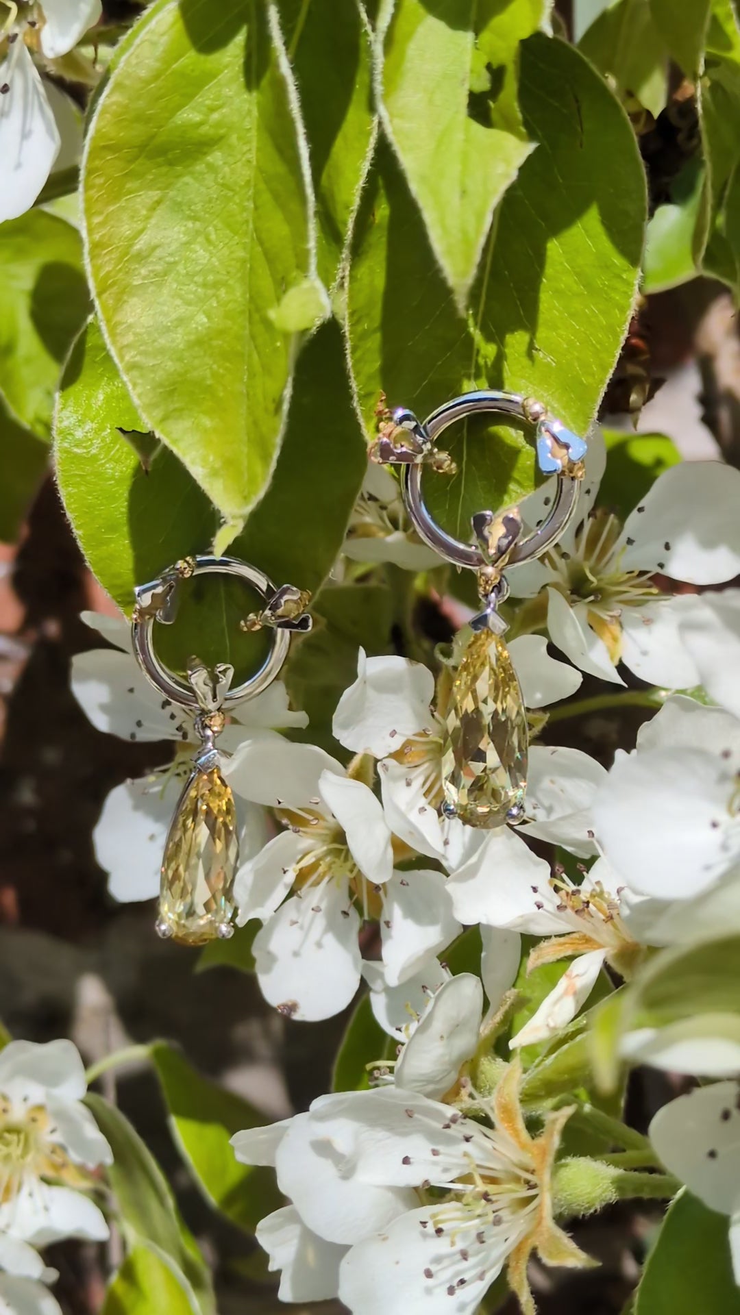 Platinum honey bee earrings