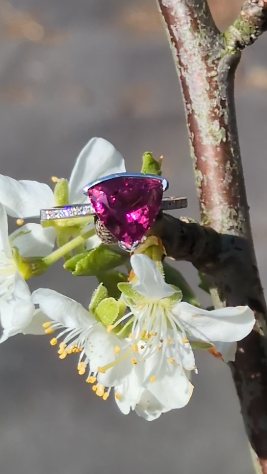 trillion cut one of a kind diamond and rubellite red gemstone ring from Sailing Stones collection by Christine Sadler