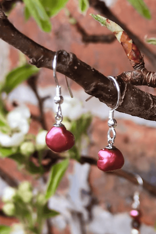 cultured pearl strong fuchsia pink drop earrings with sterling silver hook fittings