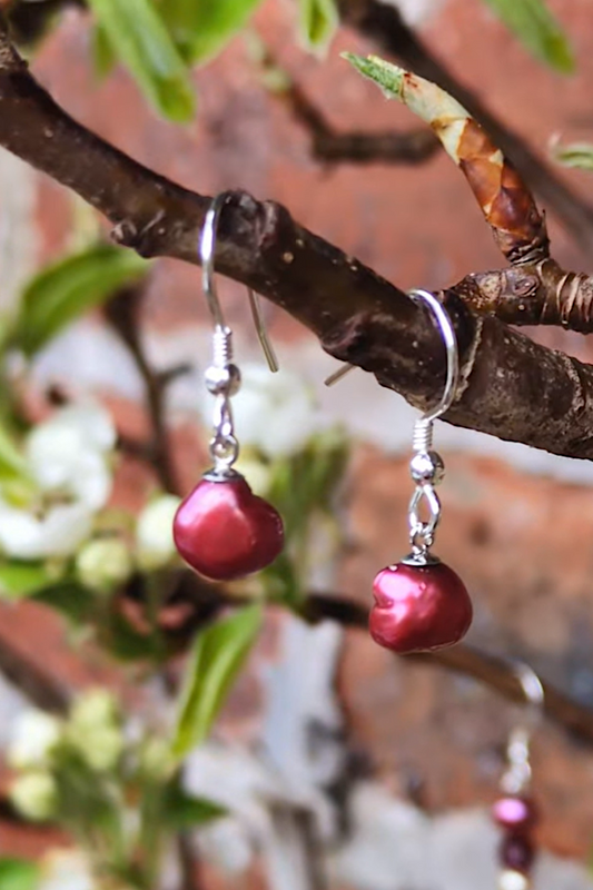 cultured pearl strong fuchsia pink drop earrings with sterling silver hook fittings